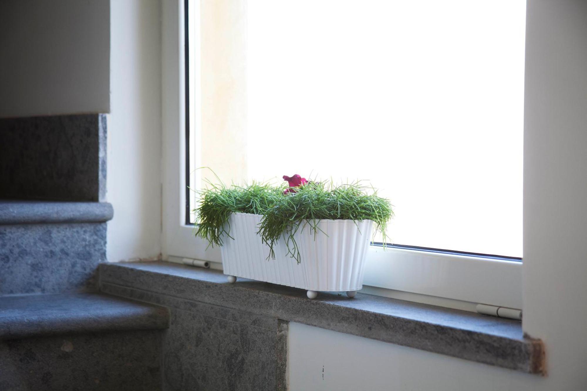 Albergo Da Benedetta Vetralla Exteriör bild